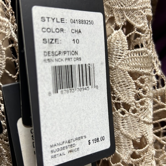 Adrianna Papell lace fit and flare sleeveless cocktail dress - Picture 9 of 10